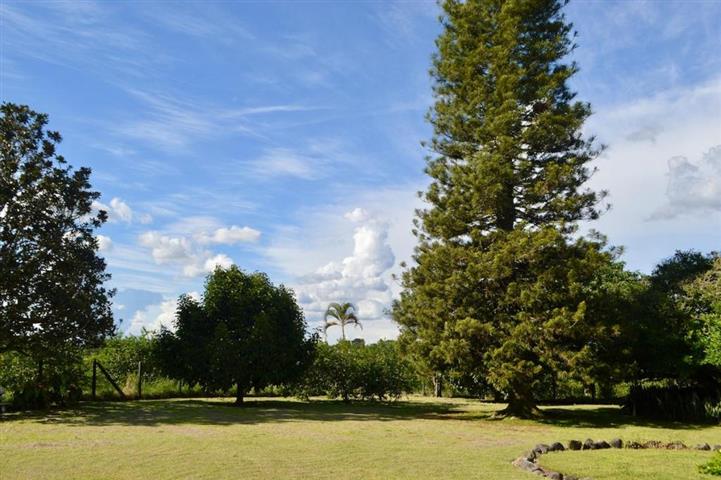 finca-los-guaduales-3 - Planes Turísticos