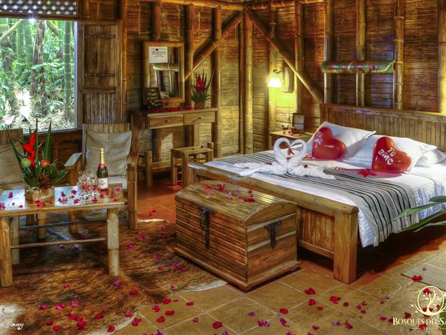 habitacion romantico Bosque del Samán